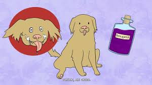 Інформація для дитячого населення щодо профілактики захворювань на сказ